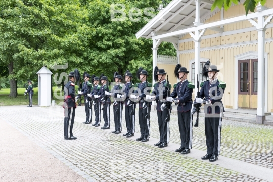 Honor guards in front of the Royal Palace