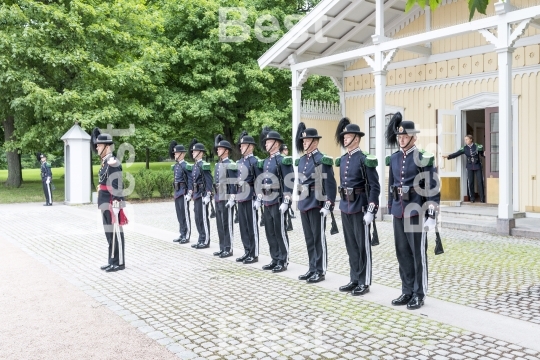 Honor guards in front of the Royal Palace