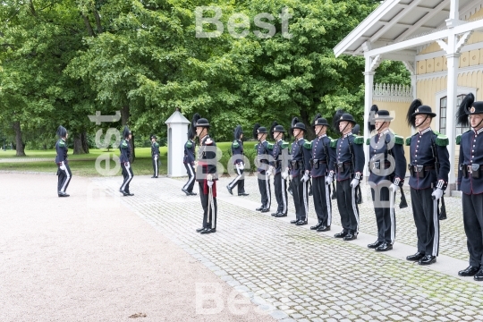 Honor guards in front of the Royal Palace