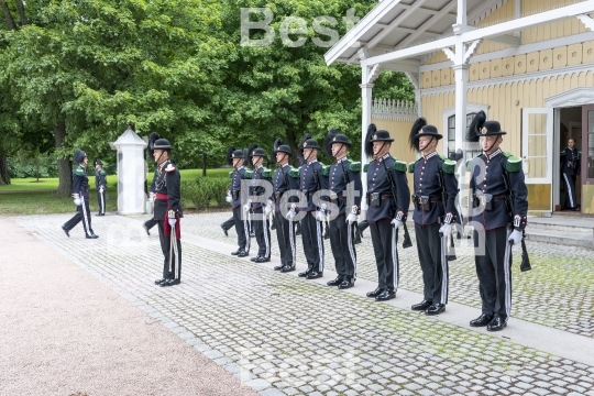 Honor guards in front of the Royal Palace