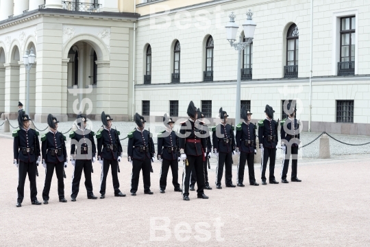 Honor guards in front of the Royal Palace