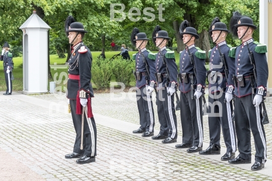 Honor guards in front of the Royal Palace