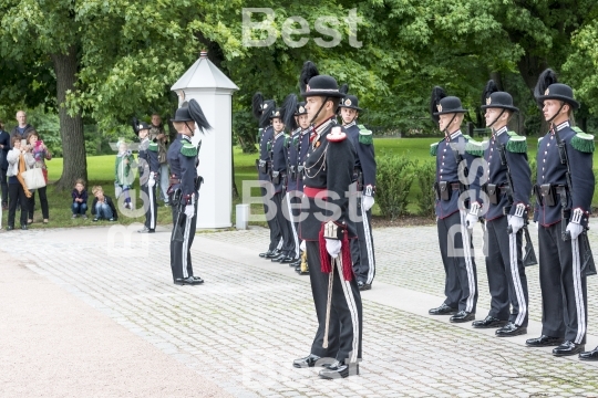 Honor guards in front of the Royal Palace