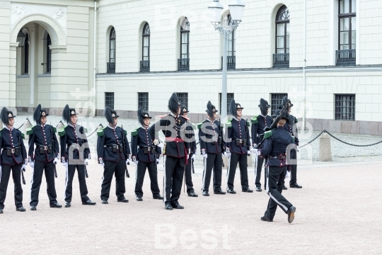 Honor guards in front of the Royal Palace