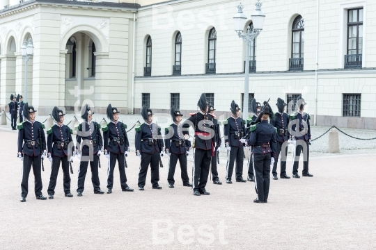 Honor guards in front of the Royal Palace