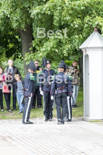 Honor guards in front of the Royal Palace