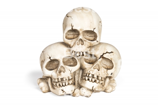 Human skulls