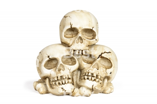 Human skulls