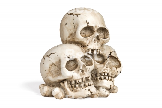 Human skulls