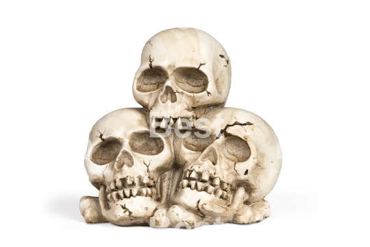 Human skulls