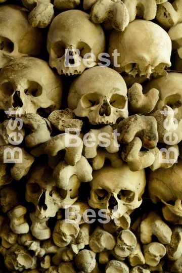 Human skulls and bones