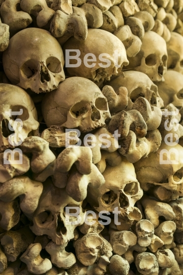 Human skulls and bones