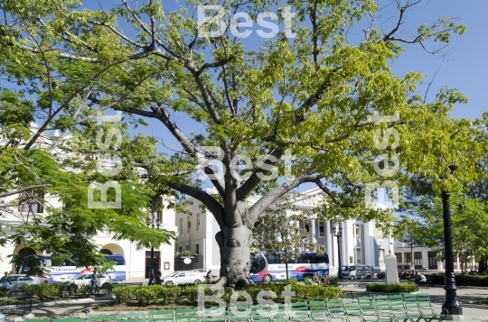 Jose Marti Park in Cienfuegos