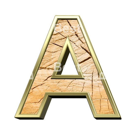 Letter from pine wood with gold frame alphabet set isolated over white.