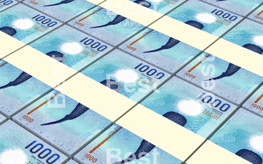 Maldivian rufiyaa bills stacks background