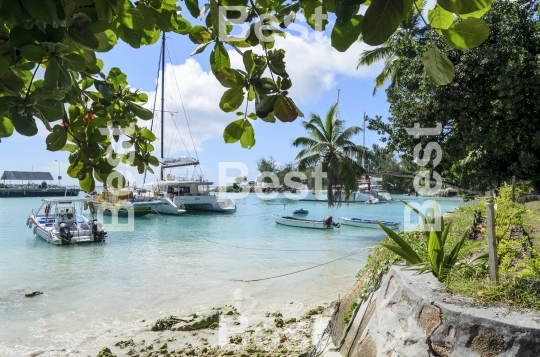 Marina in La Passe, La Digue Island