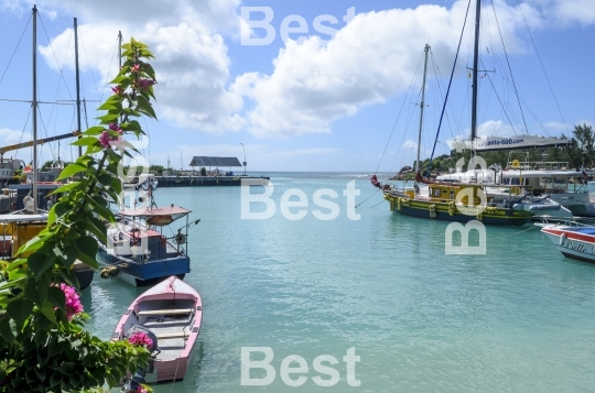 Marina in La Passe, La Digue Island