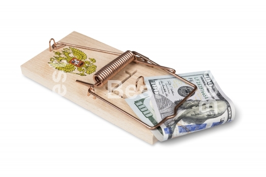 Mouse trap with dollar bill