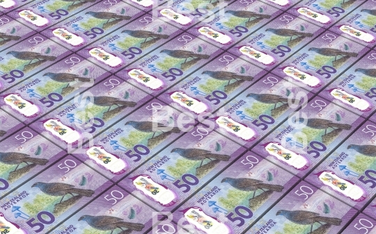 New Zealand dollar bills stacks background