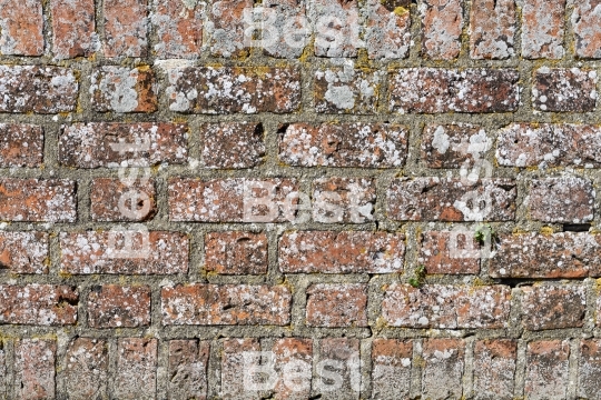 Old brick wall