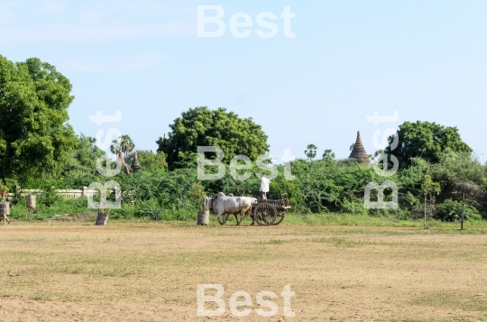 Old pagodas in Bagan