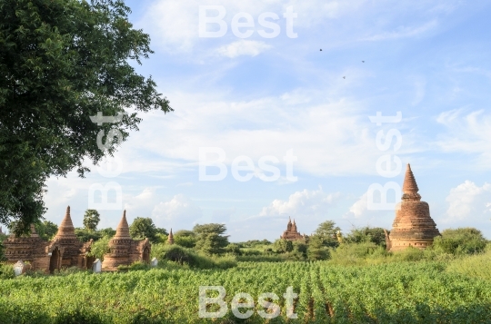 Old pagodas in Bagan