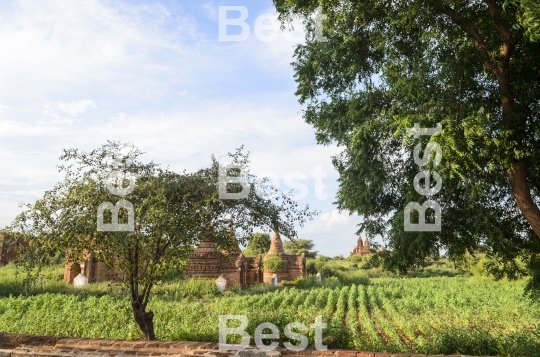 Old pagodas in Bagan