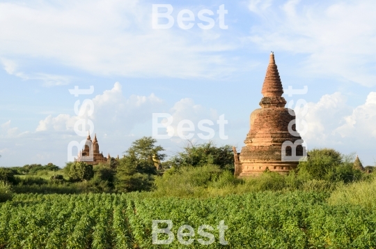 Old pagodas in Bagan