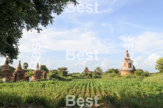 Old pagodas in Bagan