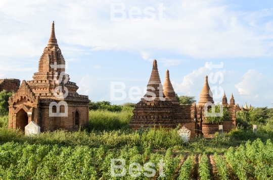 Old pagodas in Bagan