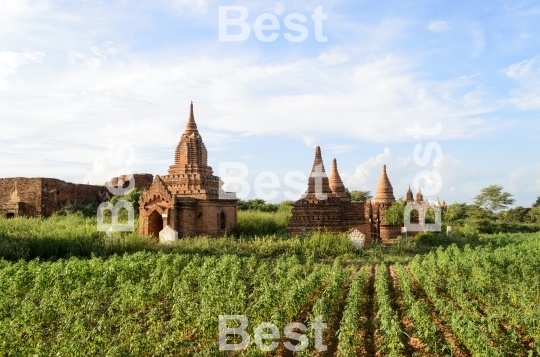 Old pagodas in Bagan