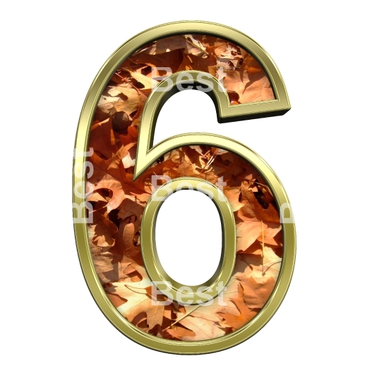 One digit from autumn gold alphabet set