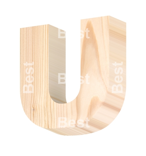 One letter from pine wood alphabet set isolated over white
