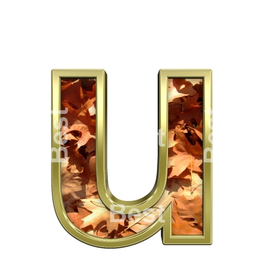 One lower case letter from autumn gold alphabet set
