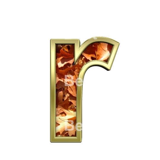 One lower case letter from autumn gold alphabet set