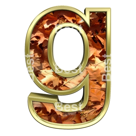 One lower case letter from autumn gold alphabet set