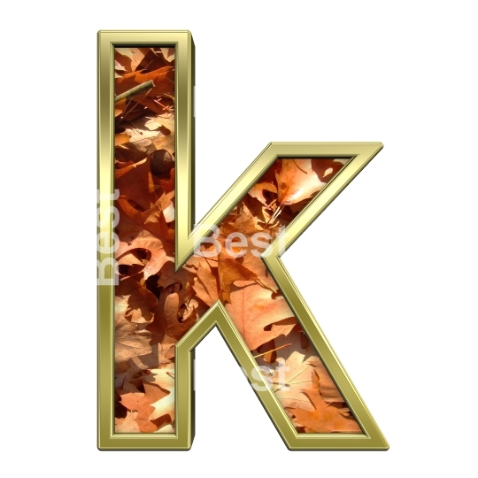 One lower case letter from autumn gold alphabet set