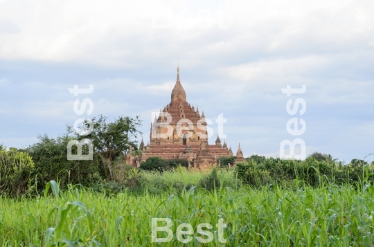 Pagodas in Bagan