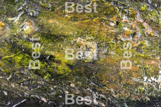 Painted texture