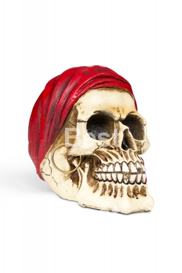 Pirate skull