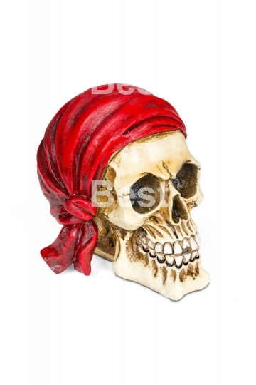 Pirate skull