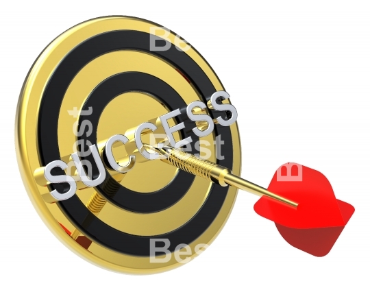 Red dart on the gold target with success text on it