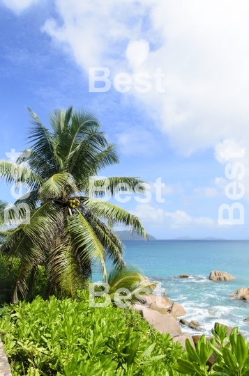 Rocky tropical beach