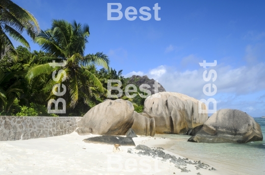 Rocky tropical beach