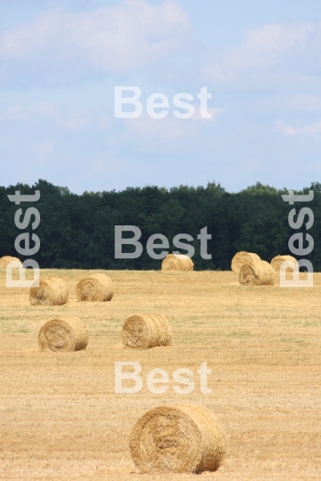 Round sheaves of yellow straw