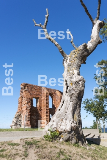 Ruins of gothic church in Trzesacz