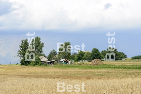 Rural landscape