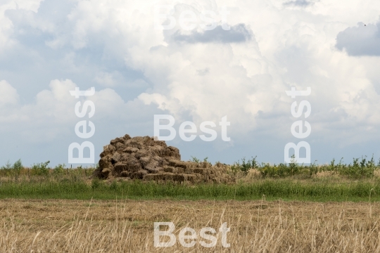 Rural landscape