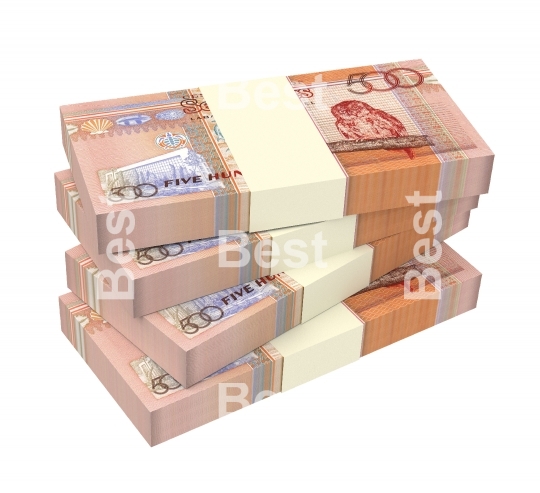 Seychelles rupee bills stacks isolated on white background