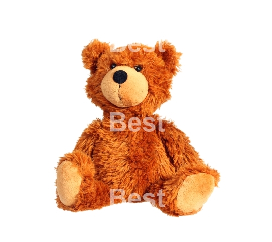 Sitting teddy bear
